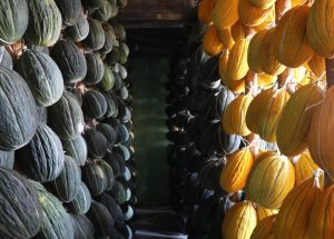 Kırkağaç Kavunu'na AB tescili