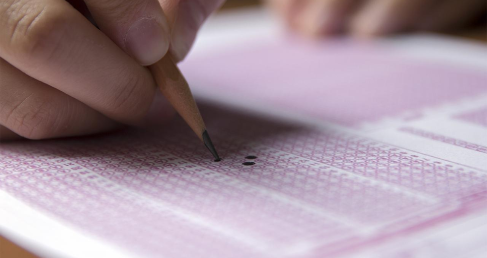 Hukuk Mesleklerine Giriş Sınavı ve İdari Yargı Ön Sınavı giriş belgeleri erişimde