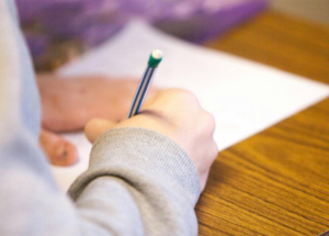 MEB, tarım işçisi ailelerin çocukları için telafi kursları hazırladı