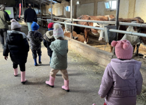 Ardahan'da Minik Çiftçi Akademisi: Anaokulu öğrencilerine hayvancılık ve tarım öğretiliyor