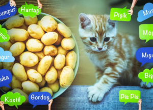 Kullanılmayan kelimeler 'arkaik' hale geliyor