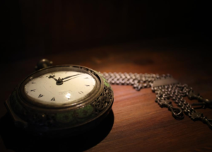 Mevlana Müzesi'nin koleksiyonuna 171 yeni parça eklendi