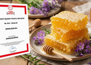 Çerkeş çiçek balı tescillendi