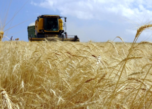 Üniversitelere tarımsal teknoloji alanında yeni programlar açılacak